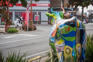 Art mooves online: Cow exhibition goes virtual