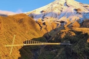Manganui Gorge bridge officially opened